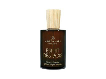 esprit (1)