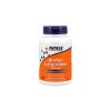 acetyl l carnitine now