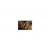 76 1 cordyceps
