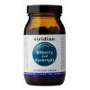 1.bilberry and eyebright 90 kapsli