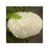 72 1 lions mane liquid extract organic hericium erinaceus organic mushroom liquid extract 100ml