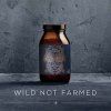 7.wild not farmed ancient brave